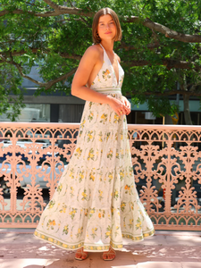The Jacinta Maxi Dress in Multi showcases a sophisticated blend of French linen and mulberry silk, delivering both comfort and refined elegance. Its halter-neck design with a plunging V-neckline creates a graceful silhouette, flowing effortlessly for versatile wear from daytime outings to evening events. Functional side pockets add practical convenience without compromising style. This dress embodies a perfect balance of luxurious detail and relaxed sophistication.
