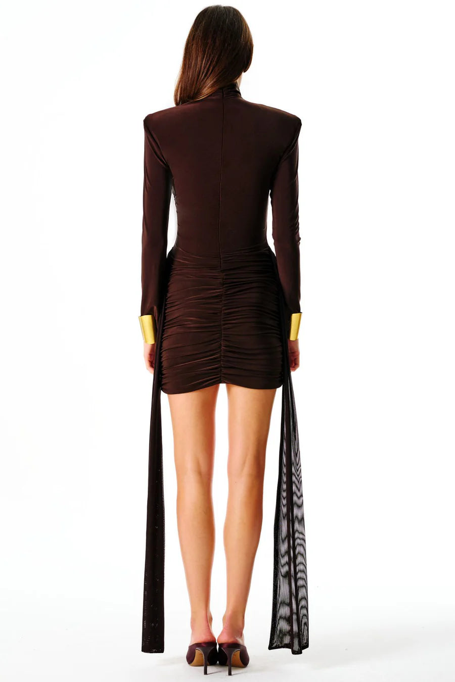 Indulge in luxury with the Sherryl Mini Dress. Soft draping and an unforgettable silhouette create a moment worth remembering. Crafted from signature stretch mesh and slinky jersey, this long sleeve mini boasts an ultra-high neck, flattering ruched skirt, and a long waist tie. Complete with an invisible closure at the back.