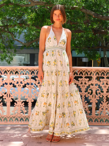 The Jacinta Maxi Dress in Multi showcases a sophisticated blend of French linen and mulberry silk, delivering both comfort and refined elegance. Its halter-neck design with a plunging V-neckline creates a graceful silhouette, flowing effortlessly for versatile wear from daytime outings to evening events. Functional side pockets add practical convenience without compromising style. This dress embodies a perfect balance of luxurious detail and relaxed sophistication.